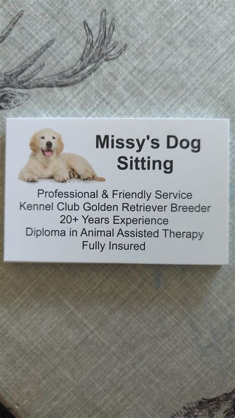 dog sitting newcastle
